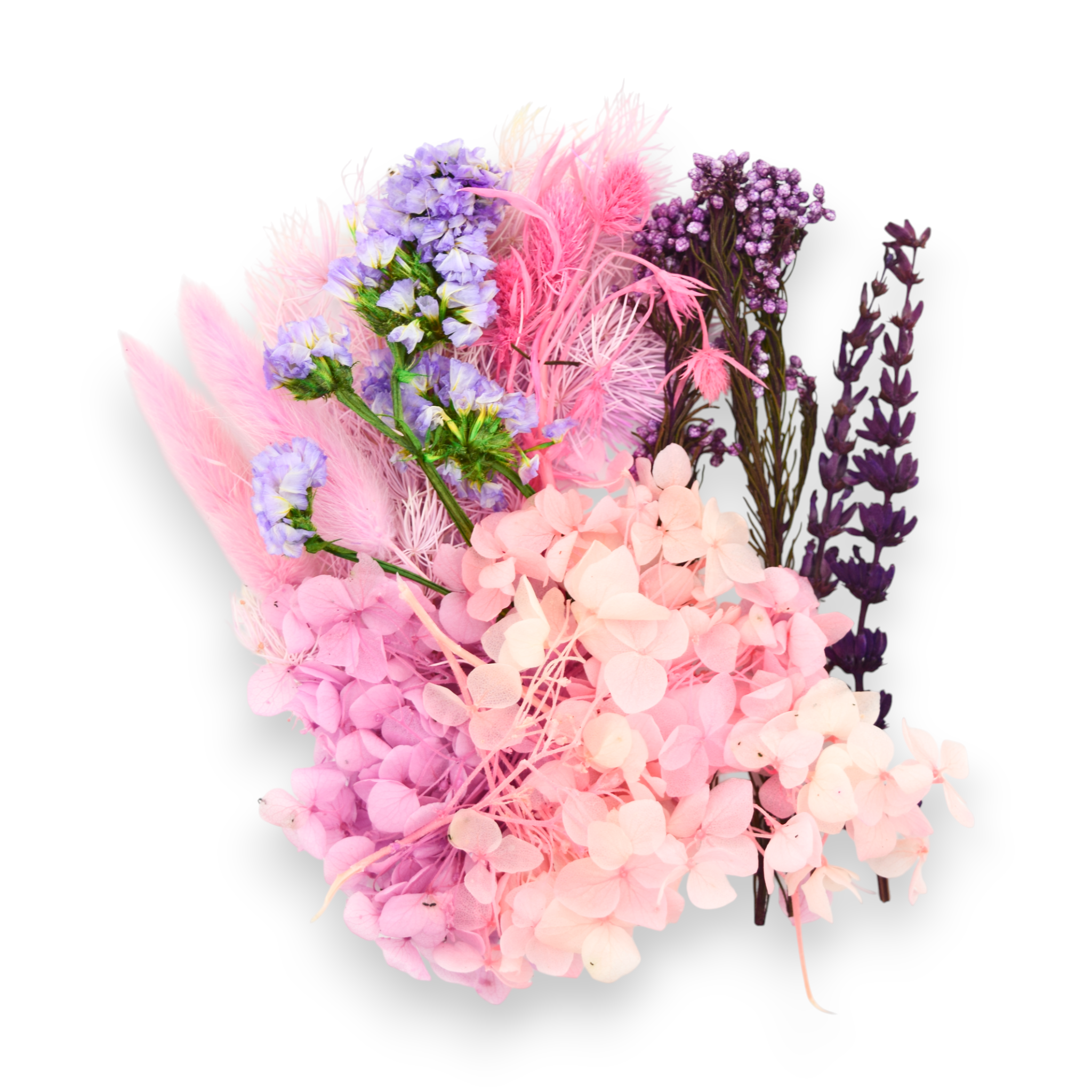 Dried Flowers - Purple